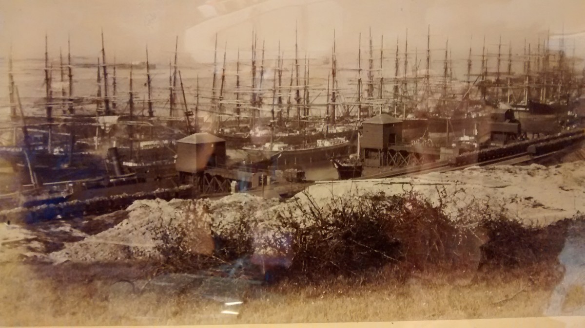 Penarth Docks (1883)